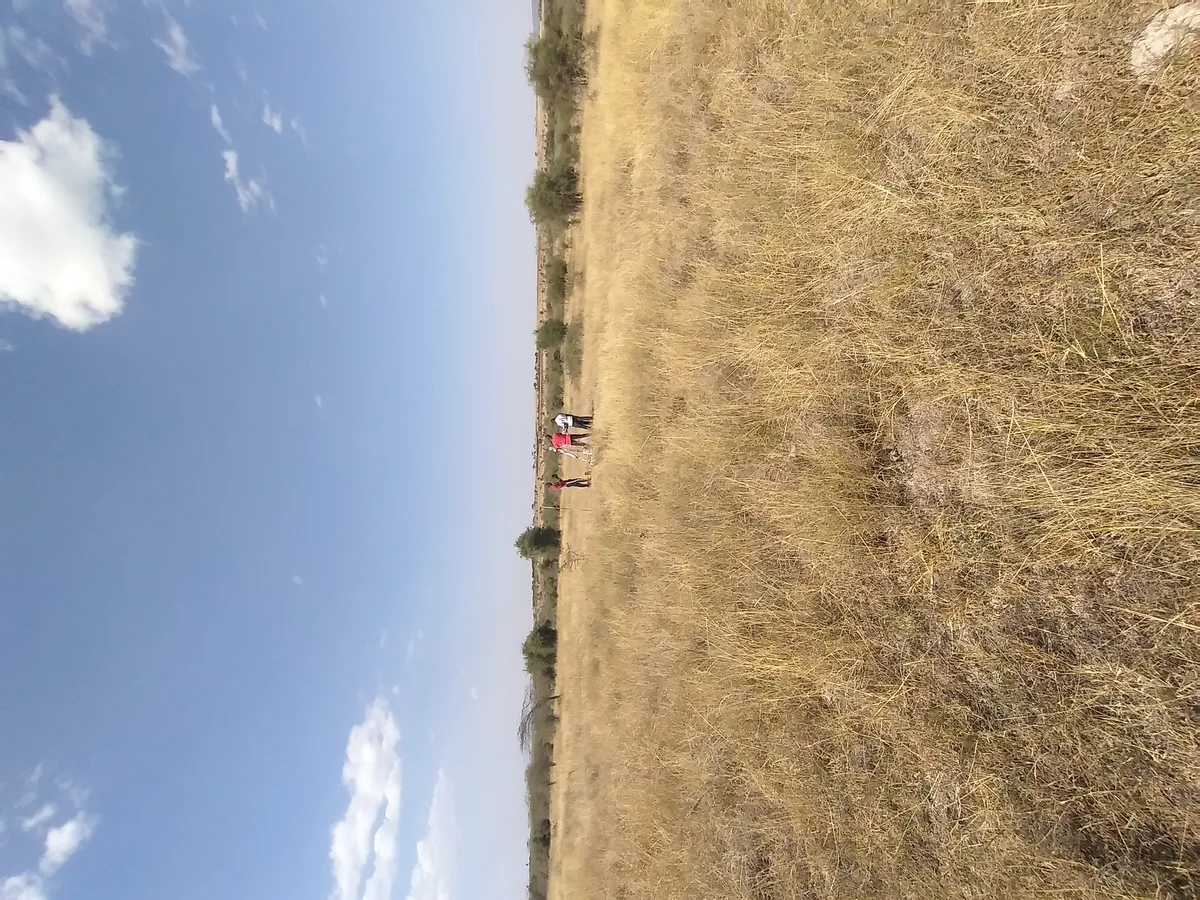 Beaconed plot boundaries at Baraka Gardens, Mavoko